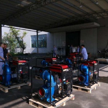 棗莊市6寸鑄鐵柴油機(jī)混流泵德國(guó)HANSI發(fā)動(dòng)機(jī)