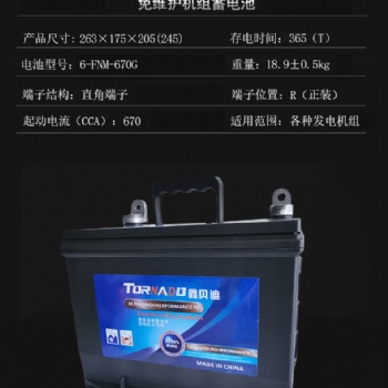 發(fā)電機蓄電池6-FNM-670G