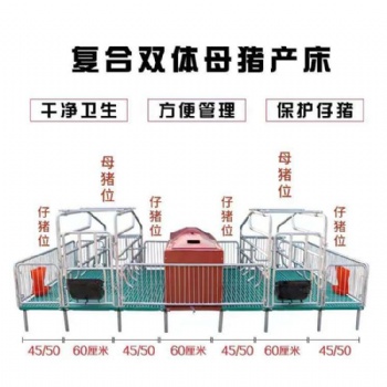 產(chǎn)床產(chǎn)保一體豬用產(chǎn)床母豬產(chǎn)床分娩欄雙體產(chǎn)床