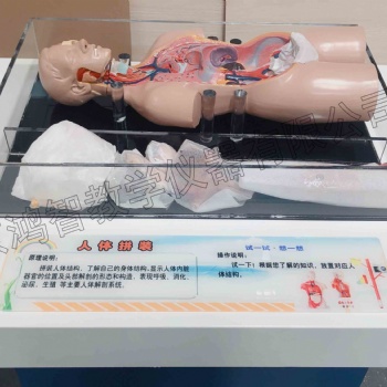 科普展品科學(xué)科學(xué)探究 中小學(xué)科技館 人體拼裝