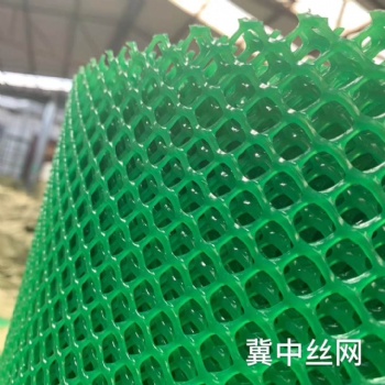 冀中塑料平網(wǎng) 電焊網(wǎng) 土工格柵 圈玉米網(wǎng) 圈雞鴨網(wǎng)