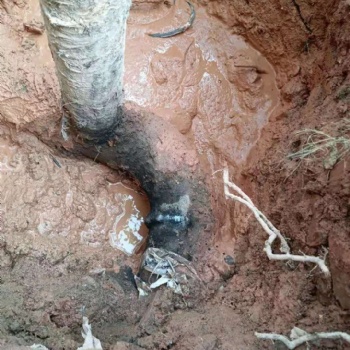 深圳龍華水管測漏水查漏水公司，地下水管漏水維修公司