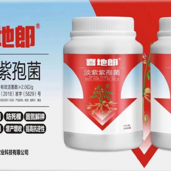 蔬菜防治根結(jié)線蟲用喜地郎淡紫紫孢菌
