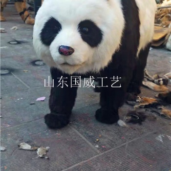 展示仿真大熊貓模型仿真大熊貓標(biāo)本
