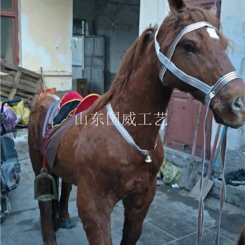 動(dòng)態(tài)仿真馬模型機(jī)械仿真馬標(biāo)本
