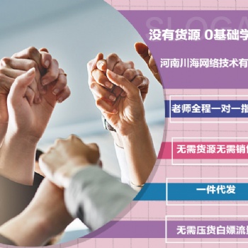 泰安拼多多無貨源開店項(xiàng)目加盟軟件貼牌代理招商