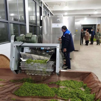 綠茶殺青機采用多層微波殺青設(shè)備的優(yōu)勢