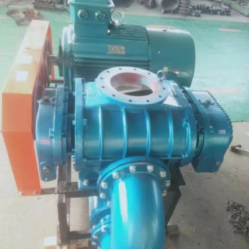 MZSR100三葉羅茨風機