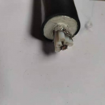 安徽昌普 ** 河北伴熱管φ6φ8 脫硫脫硝 在線監(jiān)測(cè)取樣管CEMS一體化采樣管 防爆電熱設(shè)備