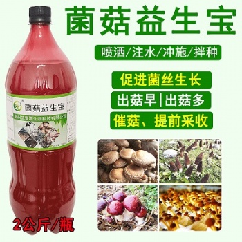 云南保山羊肚菌種植環(huán)境要求羊肚菌增產(chǎn)營養(yǎng)液