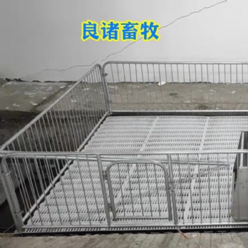 全復合保育床 仔豬保育床 養(yǎng)豬設備保育床 良諸畜牧供應商