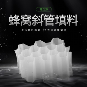 甘肅玻璃鋼斜管 蜂窩側(cè)斜管 圓孔徑25mm