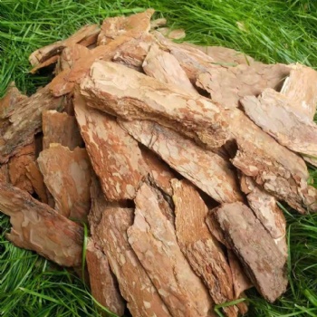 生物除臭松樹皮填料生產(chǎn)廠家供應(yīng) 規(guī)格齊全