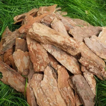 水過濾天然松樹皮生產(chǎn)廠家供應(yīng) 園林綠化松麟價(jià)格