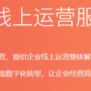 提供中小企業(yè)數(shù)字化轉型服務