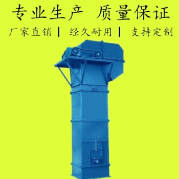 斗式提升機(jī)設(shè)備 輸送設(shè)備