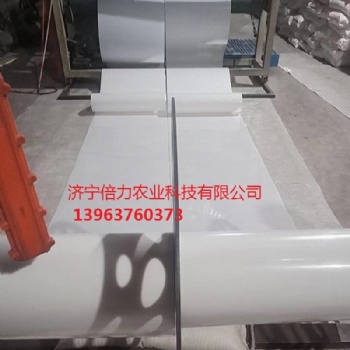 養(yǎng)殖清糞帶蛋雞清糞傳送帶訂購