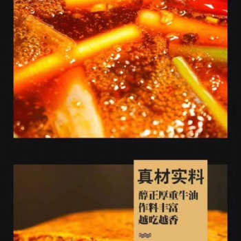 重慶老火鍋底料廠家，一次性重慶老火鍋底料批發(fā)板料bl2208-01/500克