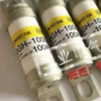 美國熱電賽默飛5014iBeta環境顆粒物監測儀備件保險絲
