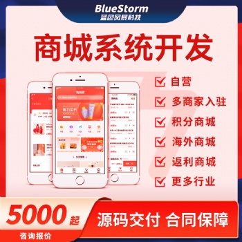 商城系統開發|實力公司，app開發、小程序開發、微信開發、網站