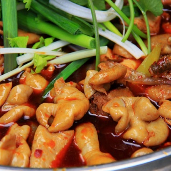 四川正宗肥腸雞肥腸魚(yú)底料生產(chǎn)批發(fā)廠家-技術(shù)培訓(xùn)BL1027