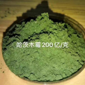 山東廠家生產(chǎn)哈茨木霉作用
