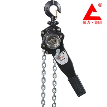 3噸環(huán)鏈?zhǔn)职夂J 辰力