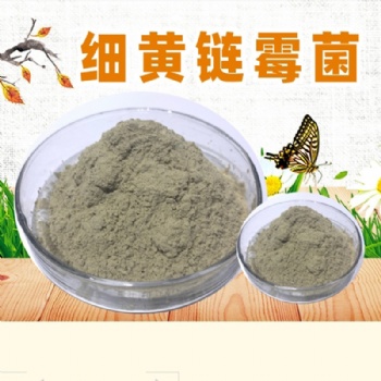 淡紫擬青霉 瓜果蔬菜預(yù)防根結(jié)線蟲用菌種