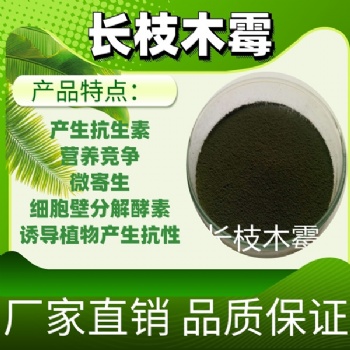 長枝木霉 瓜果蔬菜種植預(yù)防常見病害用菌種 肥料發(fā)酵菌種
