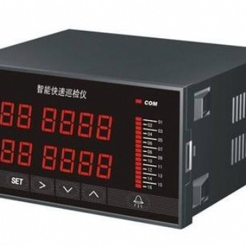 雙通道智能顯示調(diào)節(jié)儀