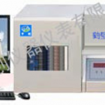 煤炭元素測定儀 KSCQ-2A微機自動測氫儀 中創(chuàng)儀器