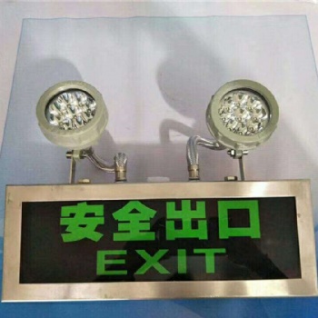 防爆安全出口標志燈 支持定制 防爆安全出口標志燈 礦用防爆安全出口標志燈