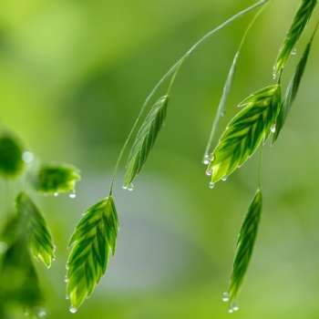 甘肅哪里辦理質(zhì)量管理體系認(rèn)證折扣大
