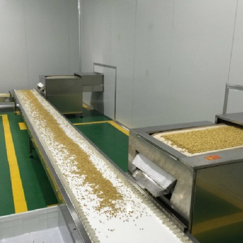 豆類微波熟化設(shè)備,大豆微波烘烤熟化設(shè)備,黃豆脫腥機(jī)