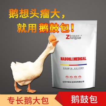 養(yǎng)鵝喂什么有長頭包的效果 加快鵝性成熟的措施
