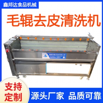 毛輥清洗機(jī)供應(yīng)商 根莖類果蔬清理設(shè)備 土豆去皮設(shè)備