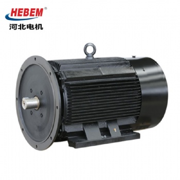 YE3-355L-6 315KW 河北電機(jī)股份有限公司三相異步電動(dòng)機(jī)馬達(dá)電機(jī)