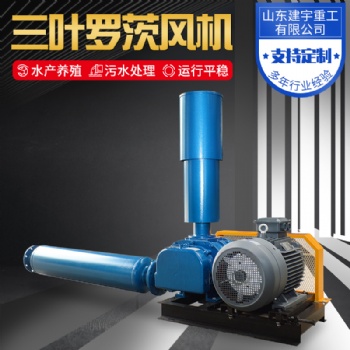 建宇重工三葉羅茨風(fēng)機 污水處理 水產(chǎn)增氧