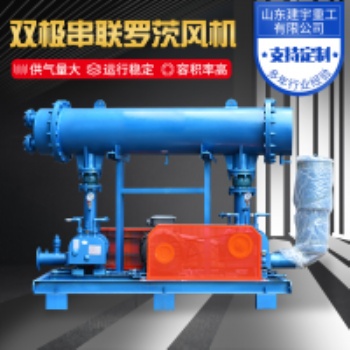 建宇重工雙極串聯(lián)羅茨風(fēng)機