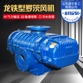 建宇重工龍鐵型羅茨風(fēng)機(jī) 氣力輸送 魚(yú)塘增氧