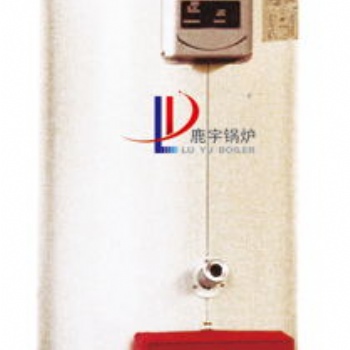鹿宇 KSL立式燃?xì)?油開(kāi)水鍋爐