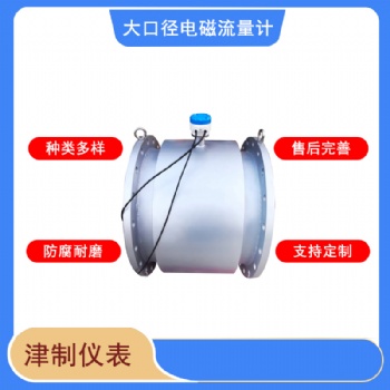 大口徑電磁流量計(jì) 帶遠(yuǎn)傳可定制 316L材質(zhì)防腐防爆