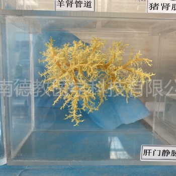 河南德教生物標(biāo)本切片廠 病理標(biāo)本骨骼標(biāo)本鑄型標(biāo)本塑化標(biāo)本植物病害標(biāo)本臘葉標(biāo)本植物浸制標(biāo)本