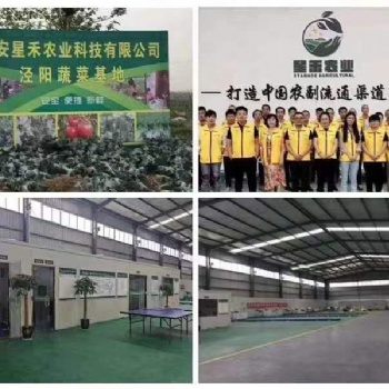 西安**的農(nóng)產(chǎn)品批發(fā)市場(chǎng)蔬菜批發(fā)配送