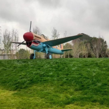 仿真軍事模型坦克飛機出租廠家