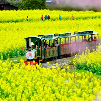 景區(qū)觀光網(wǎng)紅有軌小火車(chē)