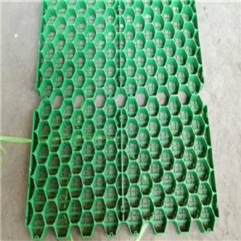 惠州哪里有綠色植草格生產(chǎn)廠(chǎng)家
