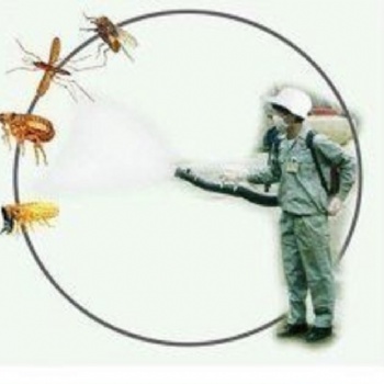 新鄉滅老鼠/新鄉滅蟑螂/新鄉消殺公司各種場所滅蟲服務