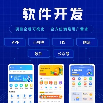 軟件開(kāi)發(fā)，小程序，網(wǎng)頁(yè)，App，管理系統(tǒng)