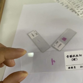 河南德教生物標本切片模型廠大中院校教學切片生物切片病理切片HE染色石蠟包埋基礎(chǔ)醫(yī)學